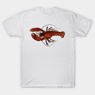 lobster pattern T-Shirt